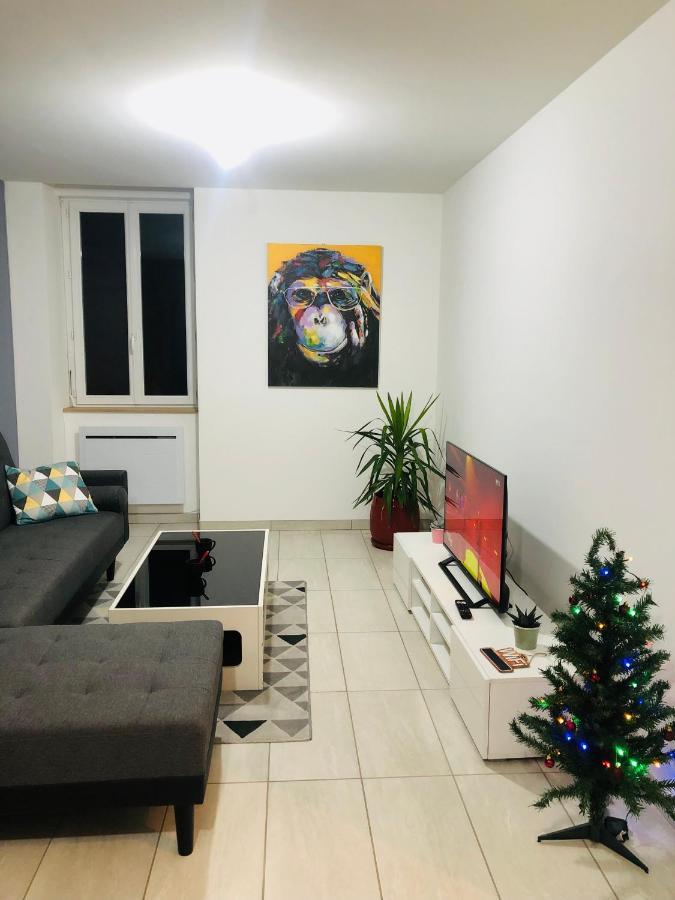 Superbe Appartement Roanne Kültér fotó