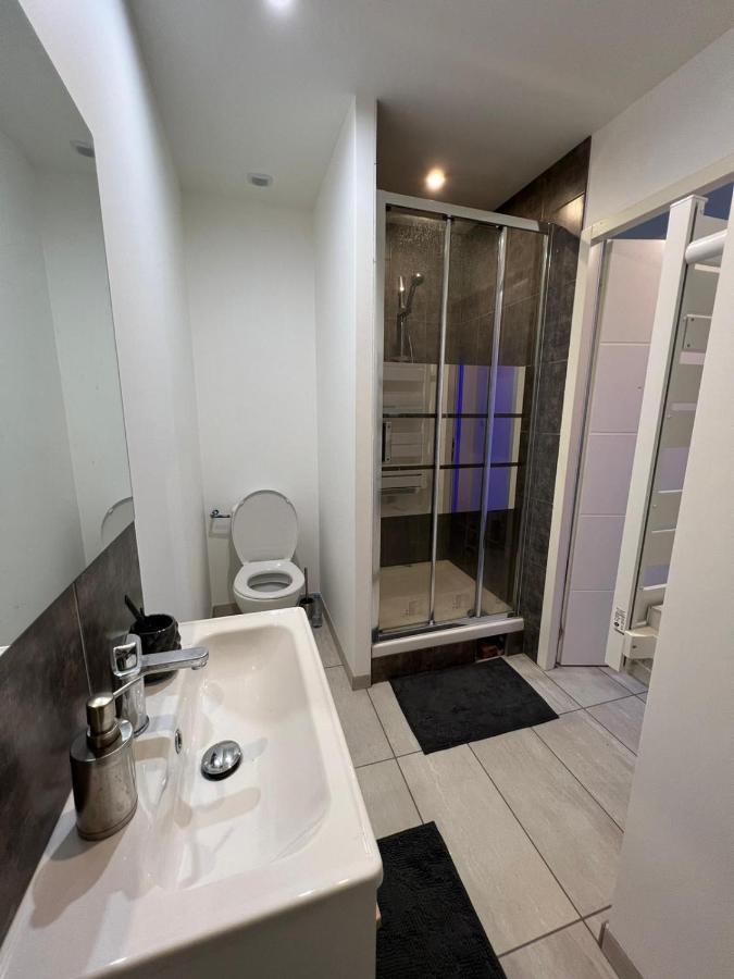 Superbe Appartement Roanne Kültér fotó